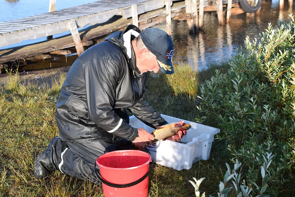 Person i svart regndrakt kneler på gresset, renser en fisk ved siden av en vannmasse med en trebrygge i bakgrunnen. Det er en rød bøtte og en hvit søppel i nærheten, som legemliggjør ånden fra Eidfjord - der sport og fritid blomstrer i Norsk natur.